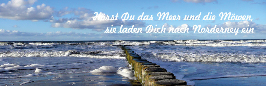 Der Personliche Vermietservice Auf Norderney